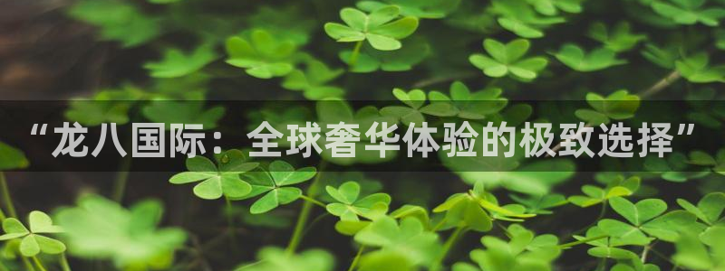 杏悦-ng大舞台,有梦你就来