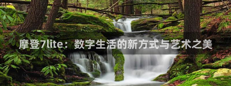 壹号app下载官方网站