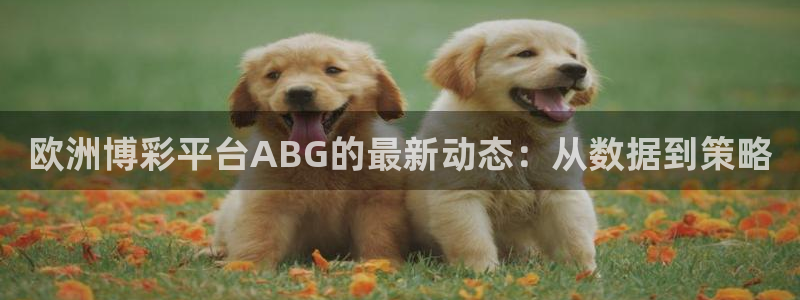 杏悦app下载