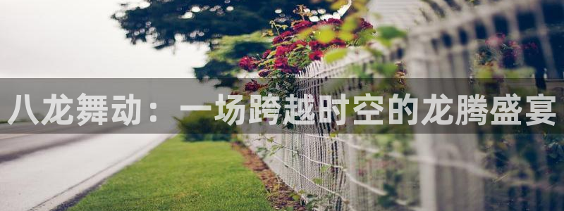 壹号电子娱乐app下载安装最新版本