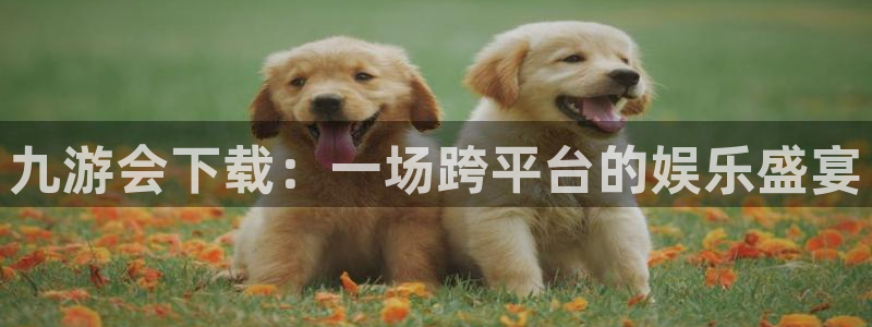 壹号大舞台,有梦你就来