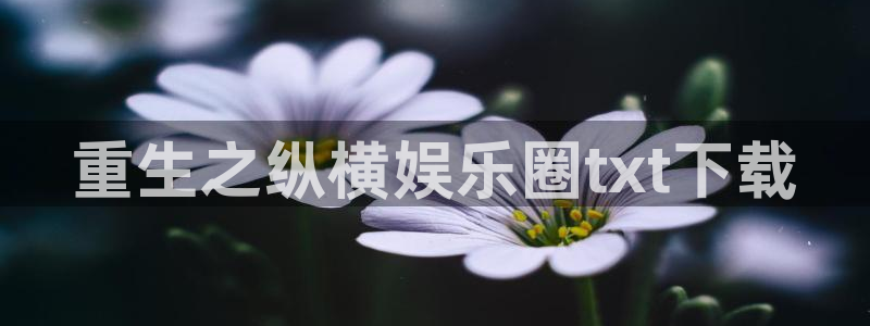 杏悦平台app下载