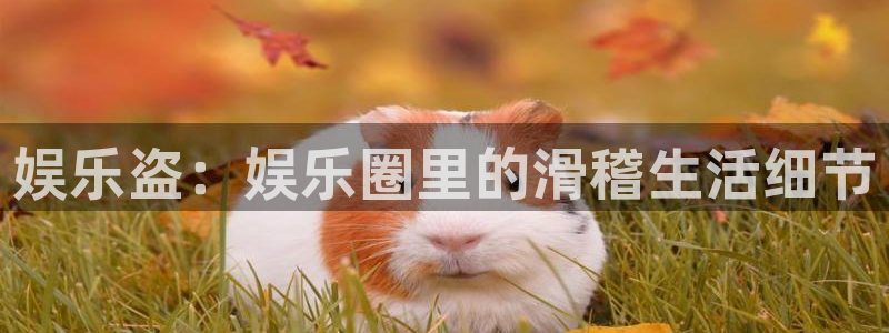 杏悦app下载官网