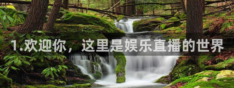 杏悦下载入口