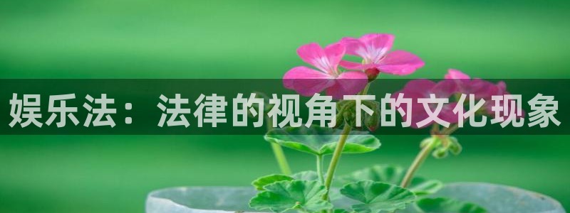 壹号电子娱乐app