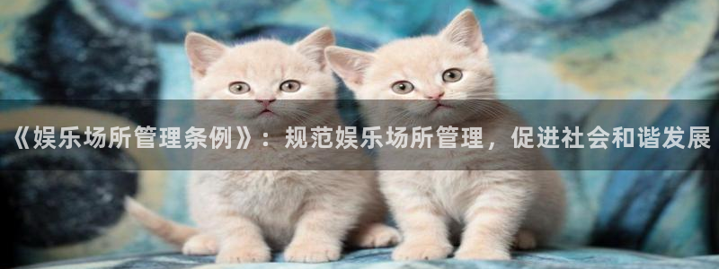 壹号app下载