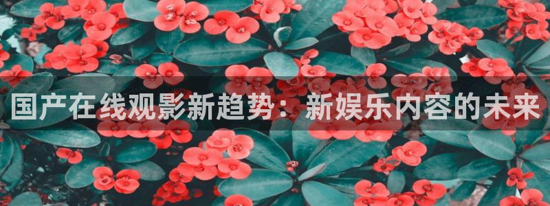 壹号平台下载安装官网