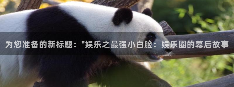 壹号app下载