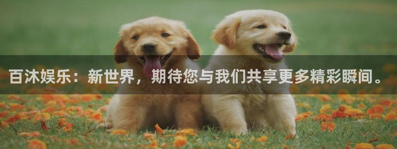 杏悦app下载官网