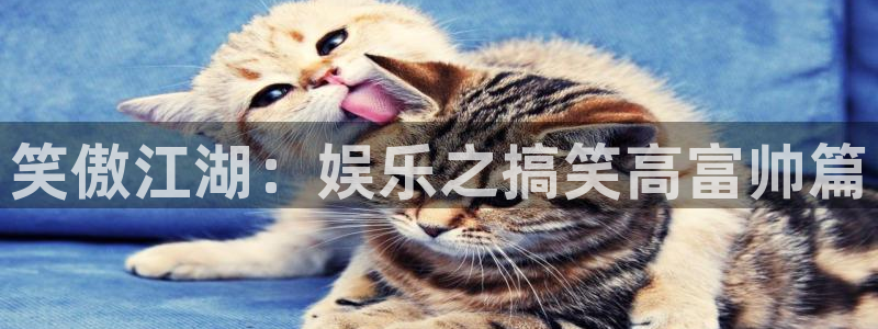 杏悦充值怎么退款