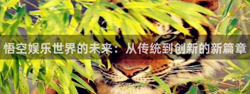 杏悦平台app下载