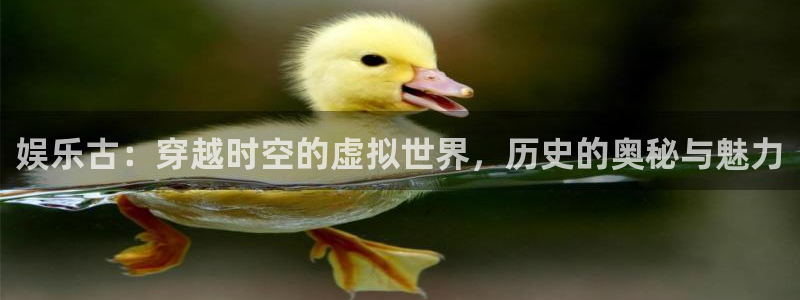 壹号电子娱乐app下载最新版本
