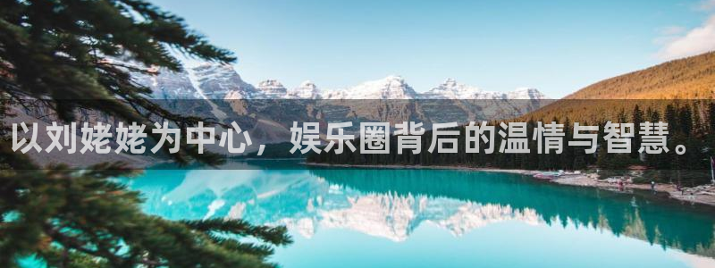 杏悦app网页入口：以刘姥姥为中心，娱乐圈背后的温情与智慧。