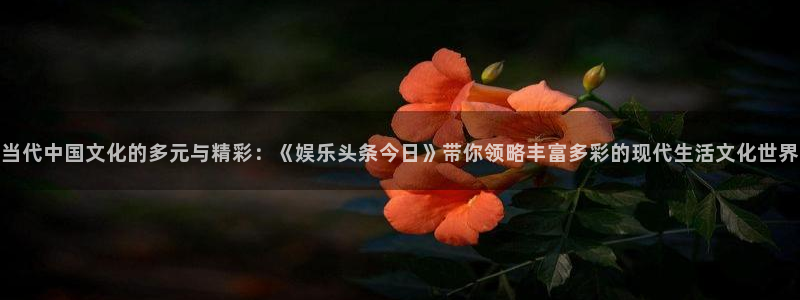 杏悦(com.youad.authst)：当代中国文化的多元与精彩：《娱乐头条今日》带你领略丰富多彩的现代生活文化世界
