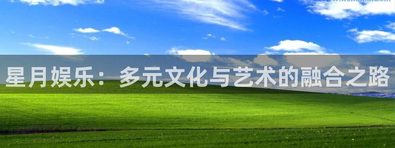 壹号电子娱乐app下载官网：星月娱乐：多元文化与艺术的融合之路