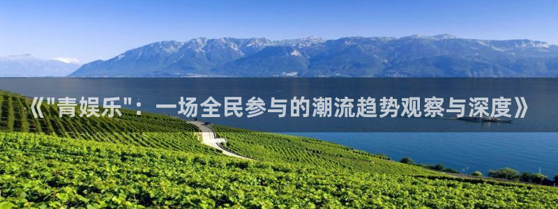 杏悦app入口：《\