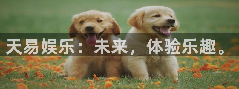 壹号下载安装：天易娱乐：未来，体验乐趣。