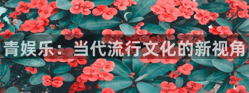 杏悦app下载安装：青娱乐：当代流行文化的新视角