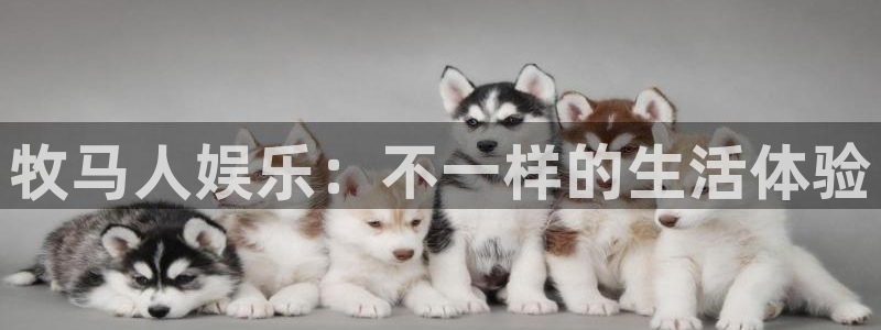 壹号电子娱乐app：牧马人娱乐：不一样的生活体验