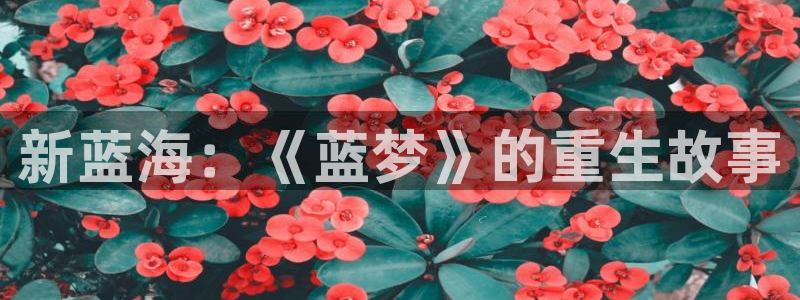 壹号电子娱乐app下载安装：新蓝海：《蓝梦》的重生故事