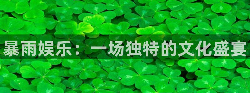 壹号平台app下载安装：暴雨娱乐：一场独特的文化盛宴