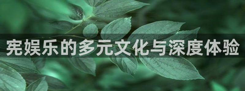 壹号大舞台下载链接：宪娱乐的多元文化与深度体验