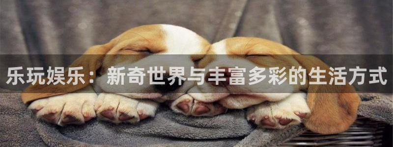 杏悦,apk.：乐玩娱乐：新奇世界与丰富多彩的生活方式