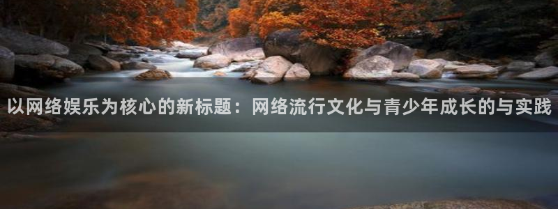 壹号大舞台有梦你就来：以网络娱乐为核心的新标题：网络流行文化与青少年成长的与实践