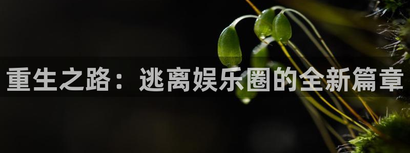 杏悦官方网站下载：重生之路：逃离娱乐圈的全新篇章